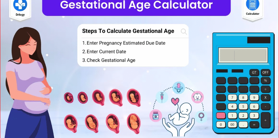 Pregnancy Age Calculator